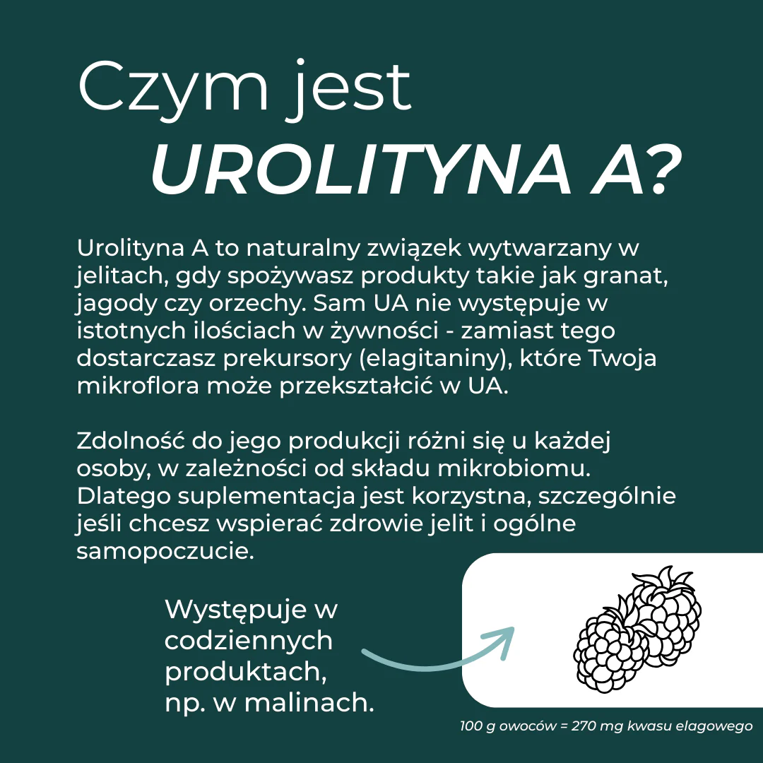 Zdjęcie produktu 3